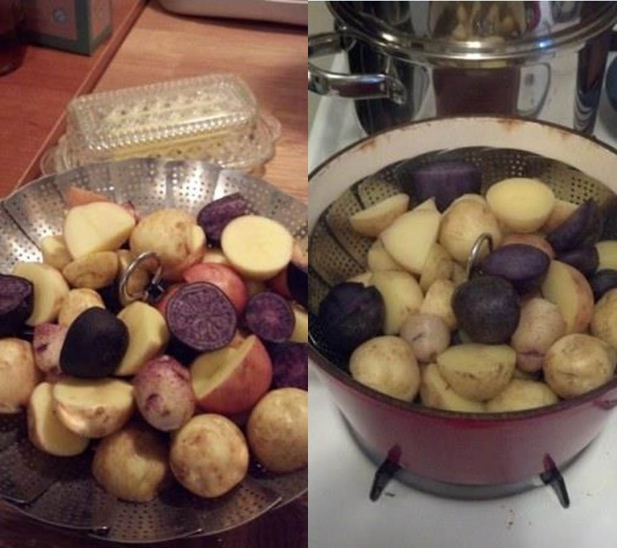 Potato tuber maturation when are they ready to harvest? Organic